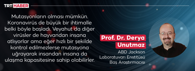 Çin'de ortaya çıkan Langya virüsü sıkı önlemler gerektirebilir
